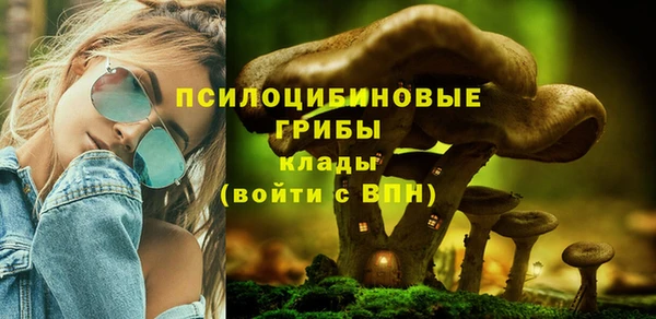 apvp Абаза