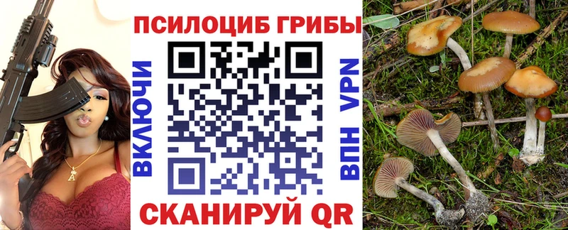 Псилоцибиновые грибы GOLDEN TEACHER  даркнет официальный сайт  Сокол 